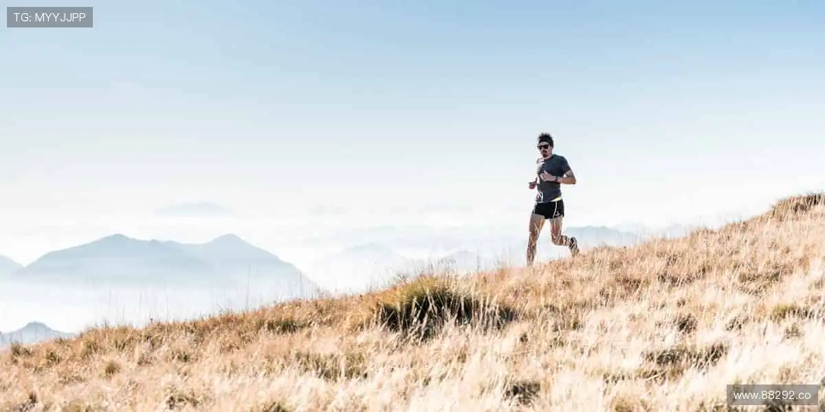 🏆 见证每一刻荣耀,体育赛事官网,让热爱永不缺席!